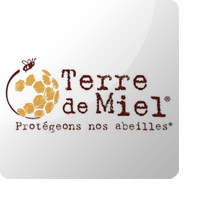 Miel de Forêt Origine France Bio - 500g - Terre de Miel - La Fourche